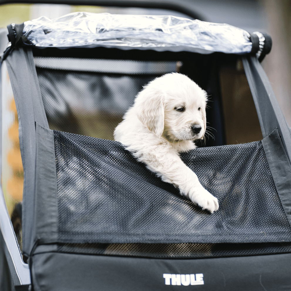 Thule car roof rack and cargo accessories – durable, stylish, and secure transport solutions for bikes, skis, and gear.