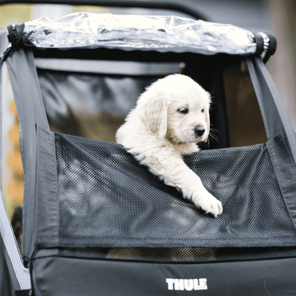 Thule car roof rack and cargo accessories – durable, stylish, and secure transport solutions for bikes, skis, and gear.