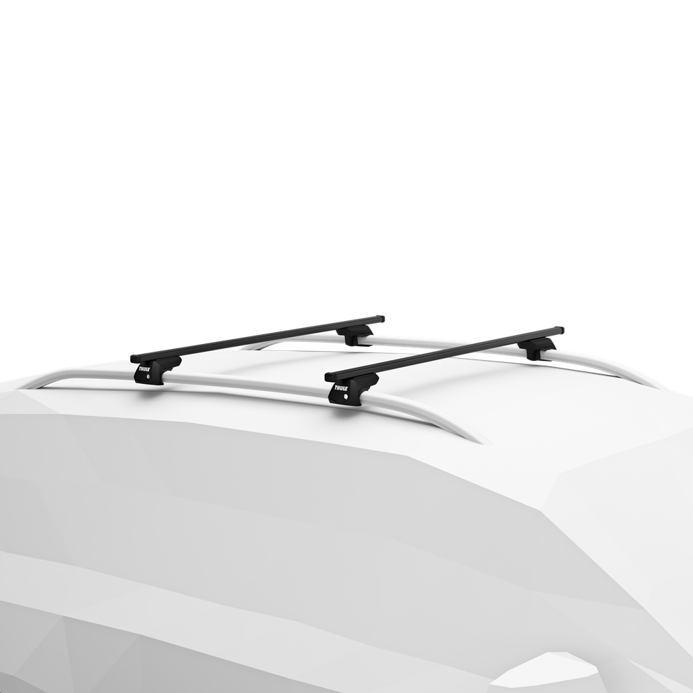 Thule car roof rack and cargo accessories – durable, stylish, and secure transport solutions for bikes, skis, and gear.