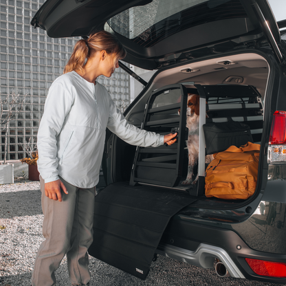 Thule car roof rack and cargo accessories – durable, stylish, and secure transport solutions for bikes, skis, and gear.