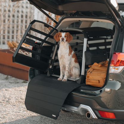 Thule car roof rack and cargo accessories – durable, stylish, and secure transport solutions for bikes, skis, and gear.