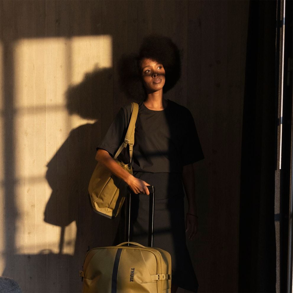 Thule car roof rack and cargo accessories – durable, stylish, and secure transport solutions for bikes, skis, and gear.