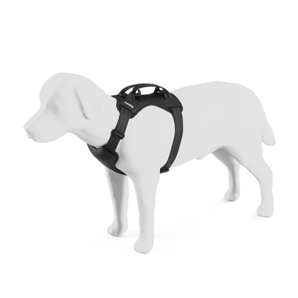 Thule car roof rack and cargo accessories – durable, stylish, and secure transport solutions for bikes, skis, and gear.