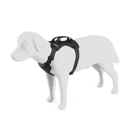 Thule car roof rack and cargo accessories – durable, stylish, and secure transport solutions for bikes, skis, and gear.