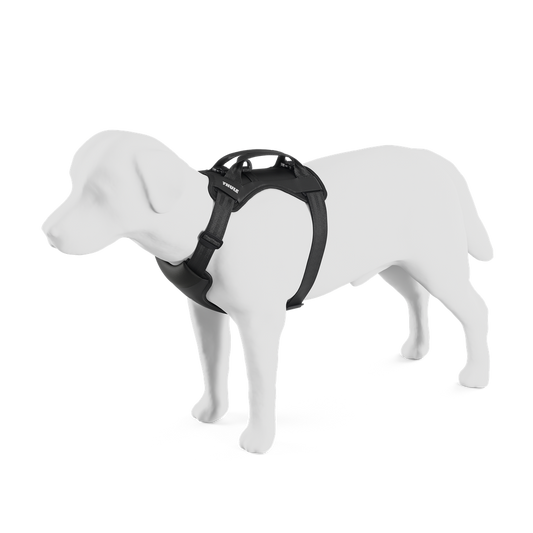 Thule car roof rack and cargo accessories – durable, stylish, and secure transport solutions for bikes, skis, and gear.