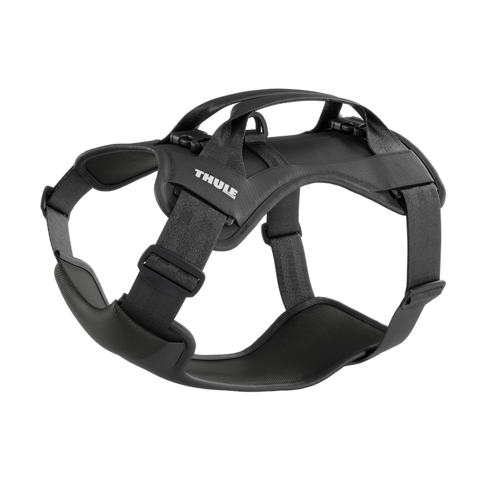 Thule car roof rack and cargo accessories – durable, stylish, and secure transport solutions for bikes, skis, and gear.