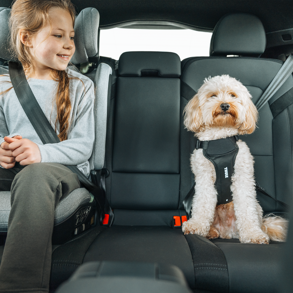 Thule car roof rack and cargo accessories – durable, stylish, and secure transport solutions for bikes, skis, and gear.