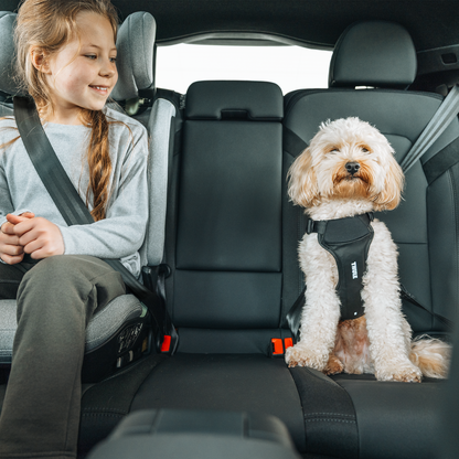 Thule car roof rack and cargo accessories – durable, stylish, and secure transport solutions for bikes, skis, and gear.