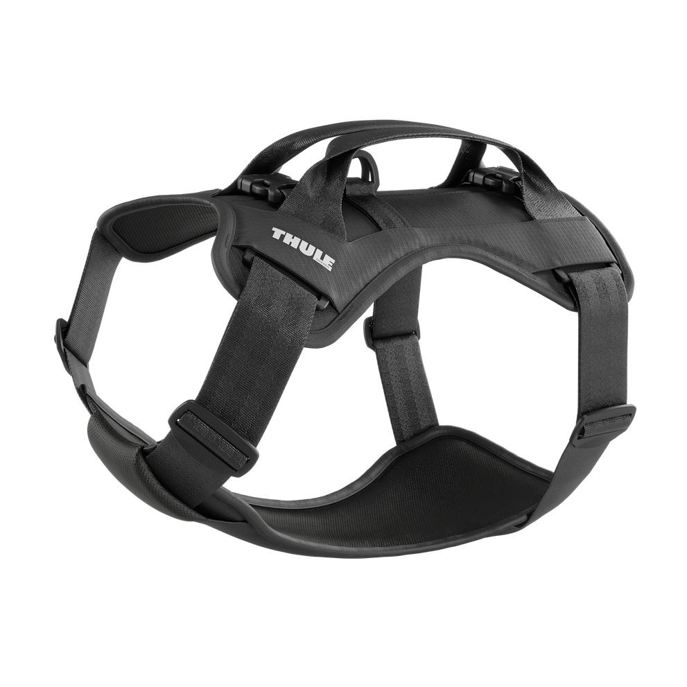 Thule car roof rack and cargo accessories – durable, stylish, and secure transport solutions for bikes, skis, and gear.