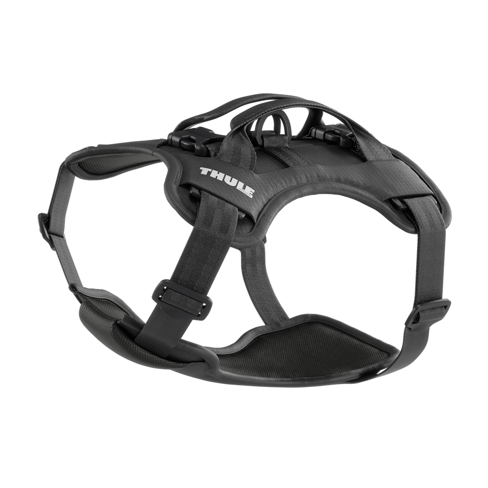 Thule car roof rack and cargo accessories – durable, stylish, and secure transport solutions for bikes, skis, and gear.