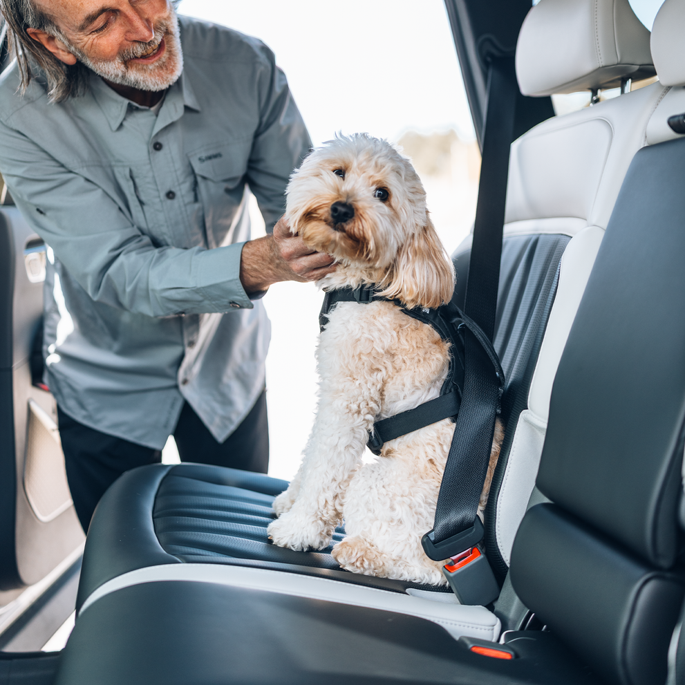 Thule car roof rack and cargo accessories – durable, stylish, and secure transport solutions for bikes, skis, and gear.